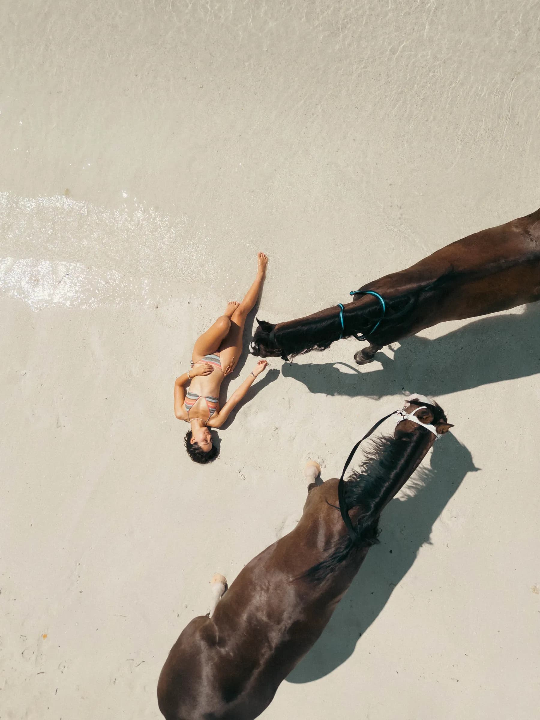 Aerial top-down photo of a guest and horses on a white sandbank near Maafushi, shot by a licensed Coora Studio pilot